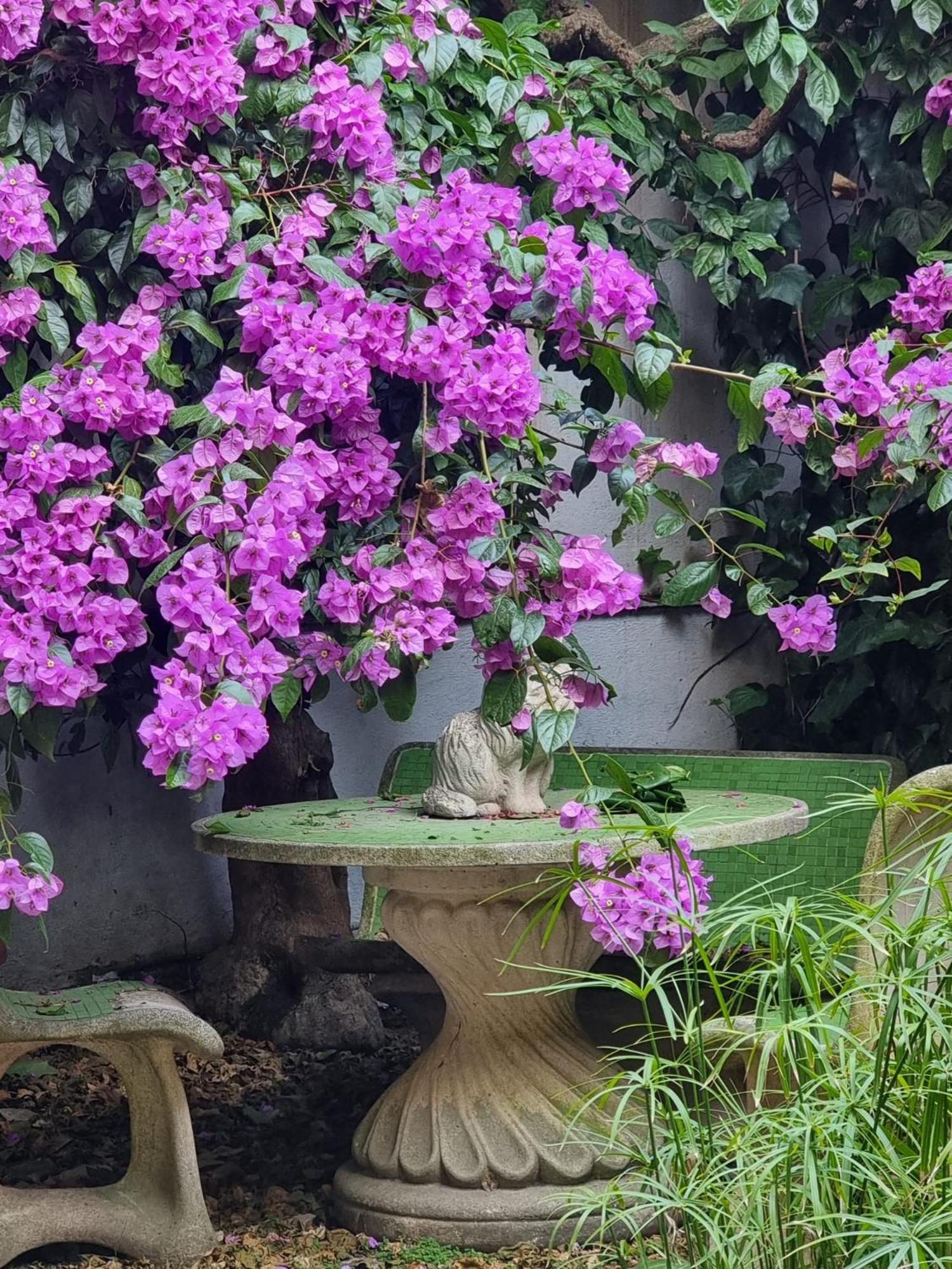 Vatican Fairytale Garden Rome Luaran gambar